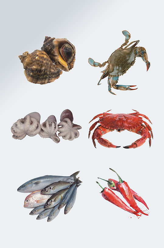 海鲜海产食材元素