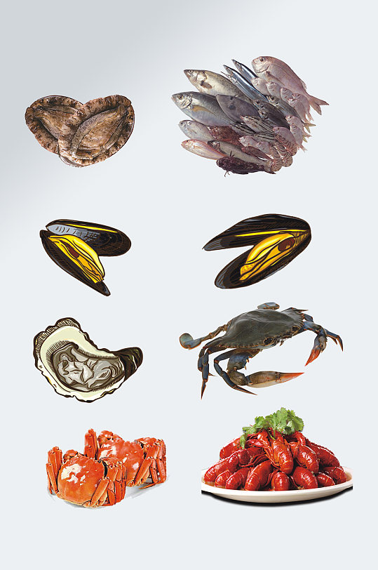 写实海鲜海产食材元素