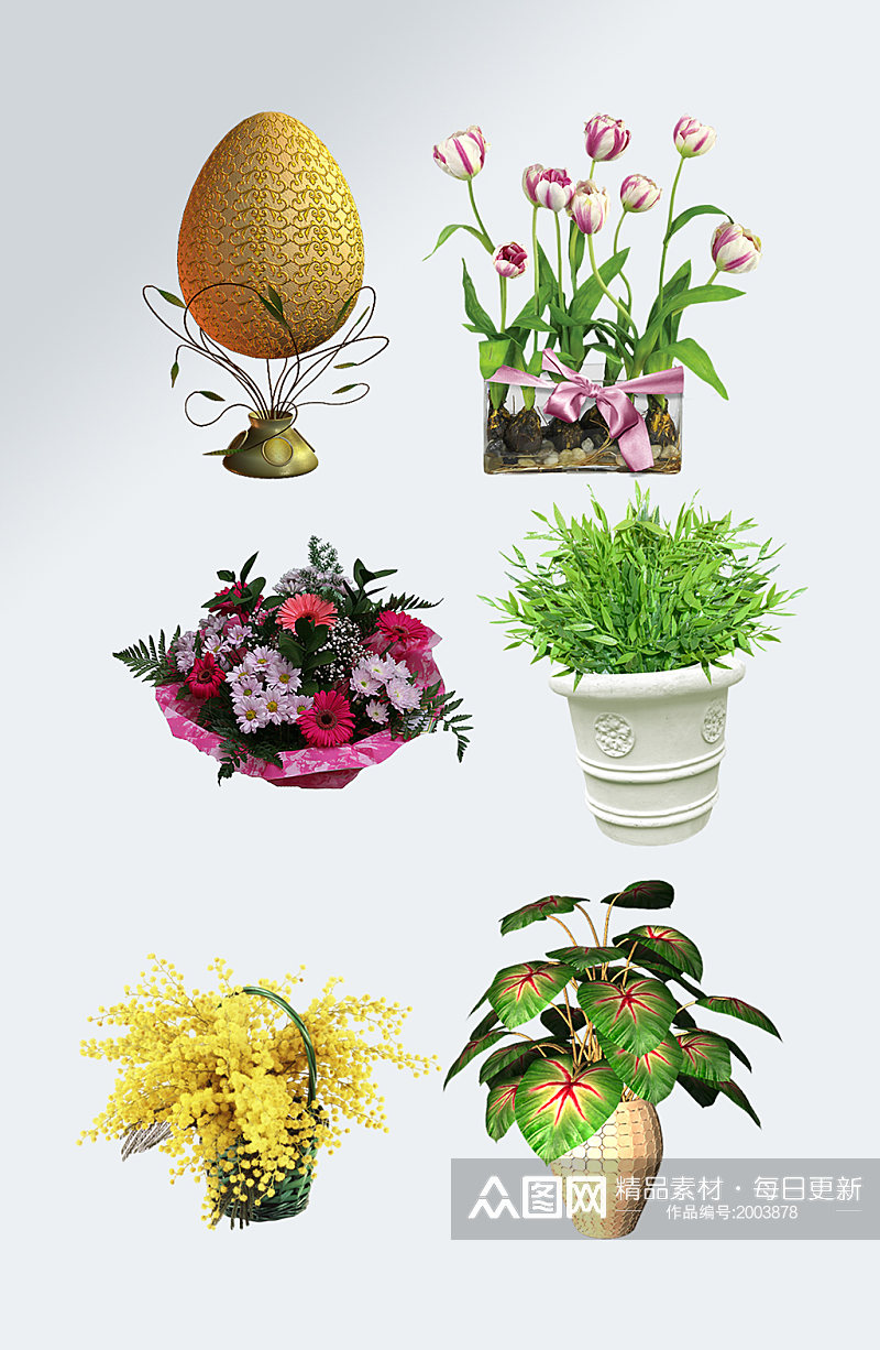 写实花卉盆栽素材素材