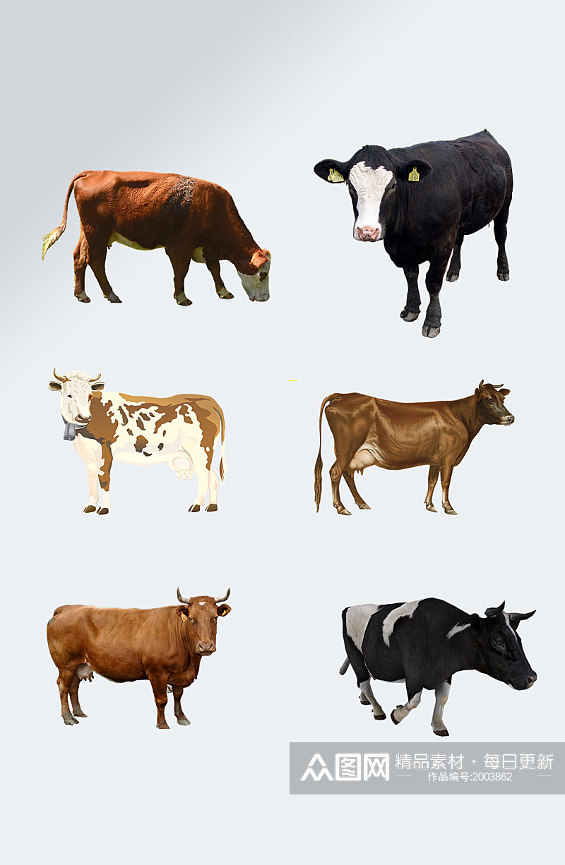 可爱奶牛动物免抠元素素材