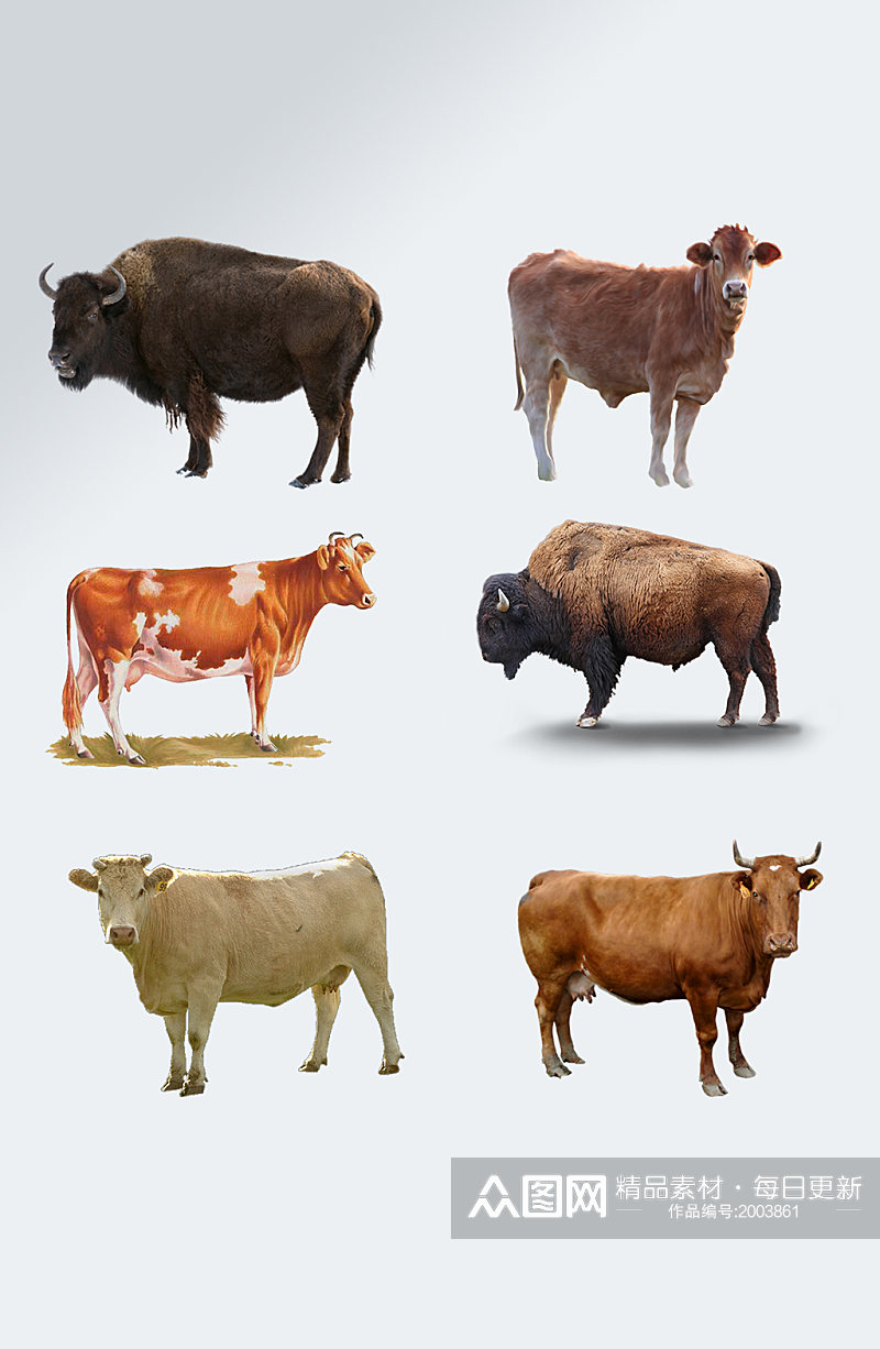 畜牧业牛免抠素材素材