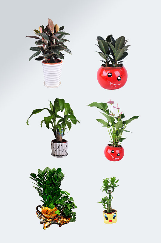 绿化花盆图片-绿化花盆素材下载-众图网