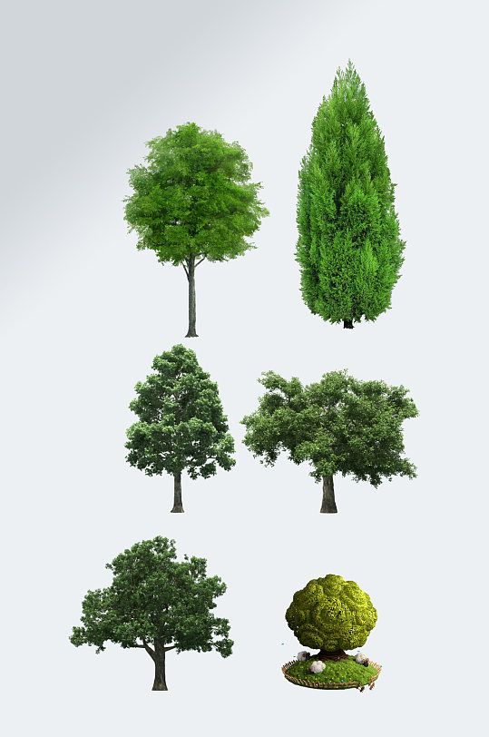 夏天绿树透明素材