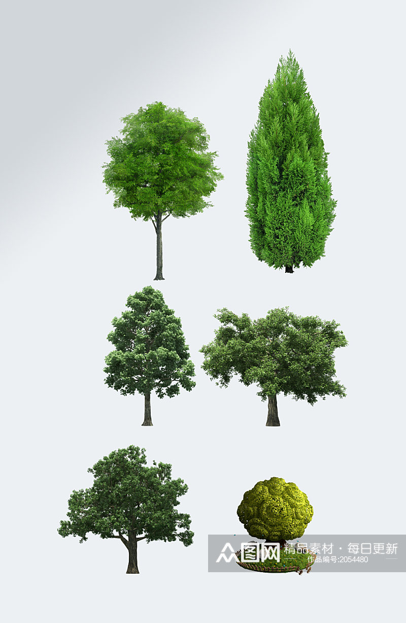 夏天绿树透明素材素材