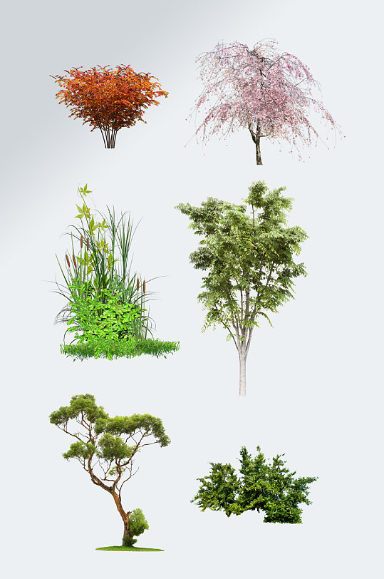 园林绿化大树图片-园林绿化大树素材下载-众图网
