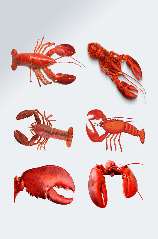 营养美味小龙虾素材