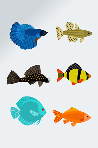 彩色卡通海鱼图案元素