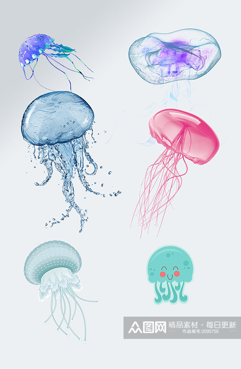 海洋生物水母设计元素素材