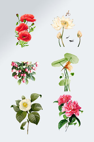 七夕手绘花卉元素婚礼花卉元素