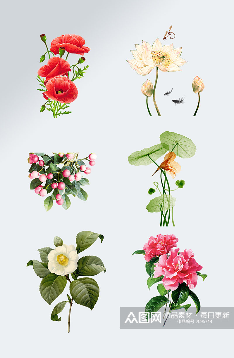 七夕手绘花卉元素婚礼花卉元素素材