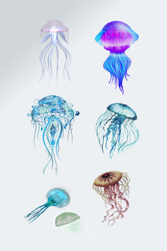 海洋生物水母设计元素