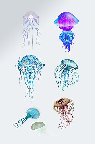 海洋生物水母设计元素