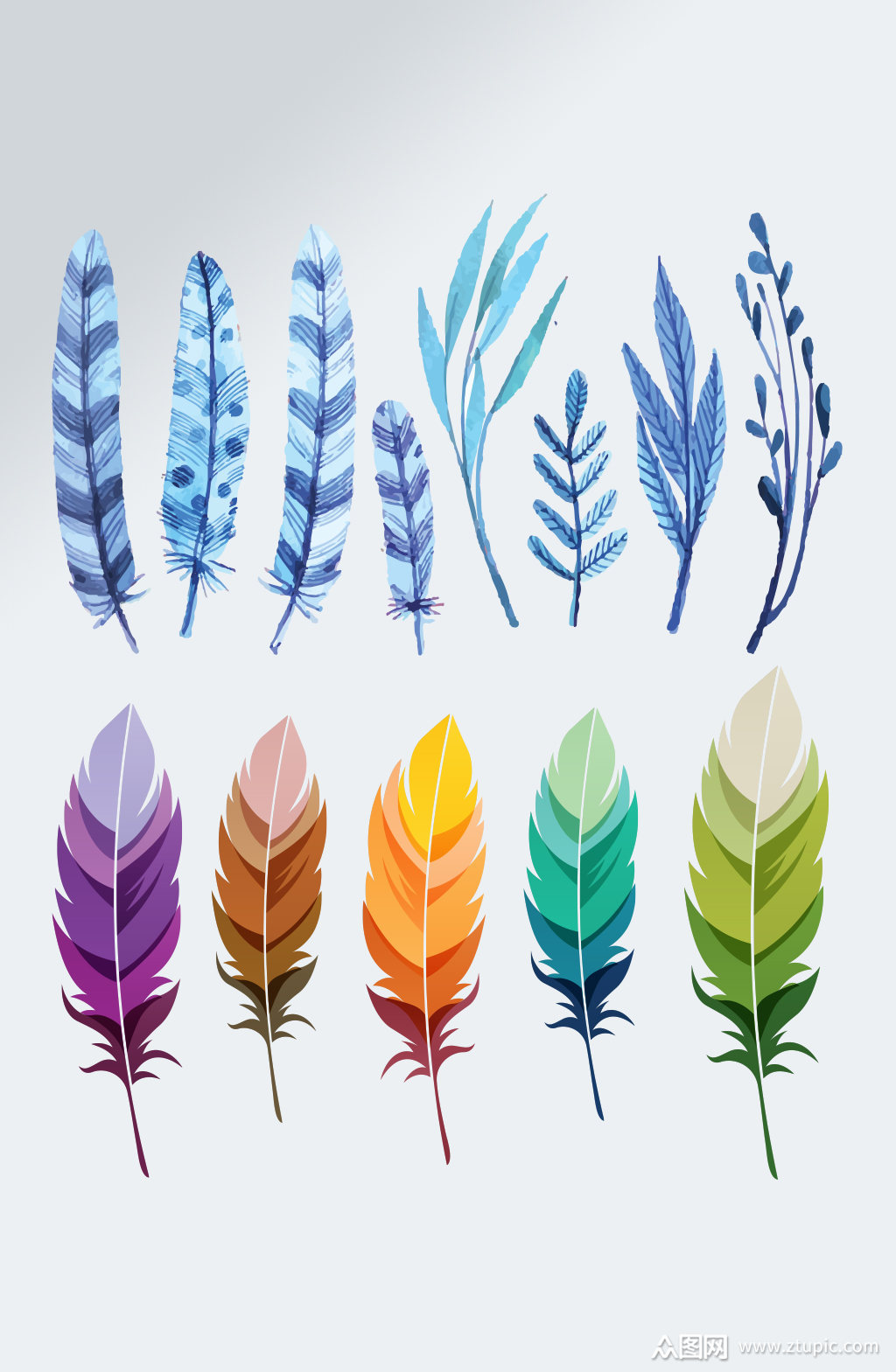 彩色羽毛鸟毛素材元素