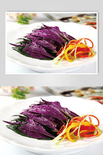 天香紫贝葵美食摄影图片