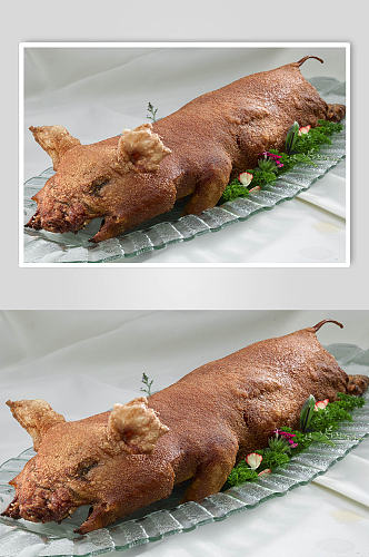 香煎烤猪摄影图片