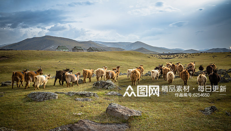 创意内蒙古大草原图片素材