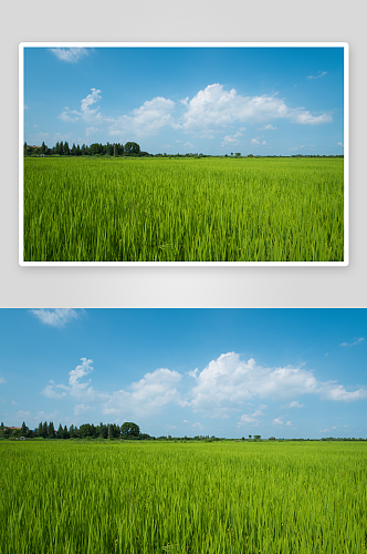 乡村田野风光风景摄影图