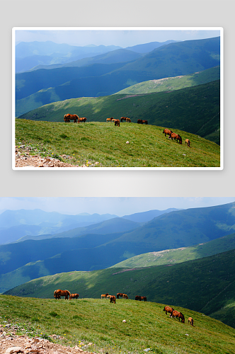 秀丽山西五台山风景摄影图