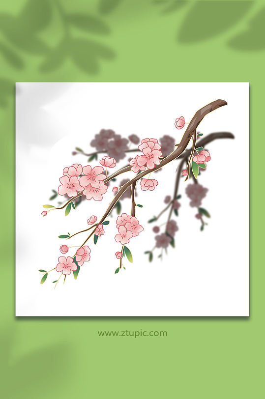桃花繁花盛开夏季花卉物品元素插画