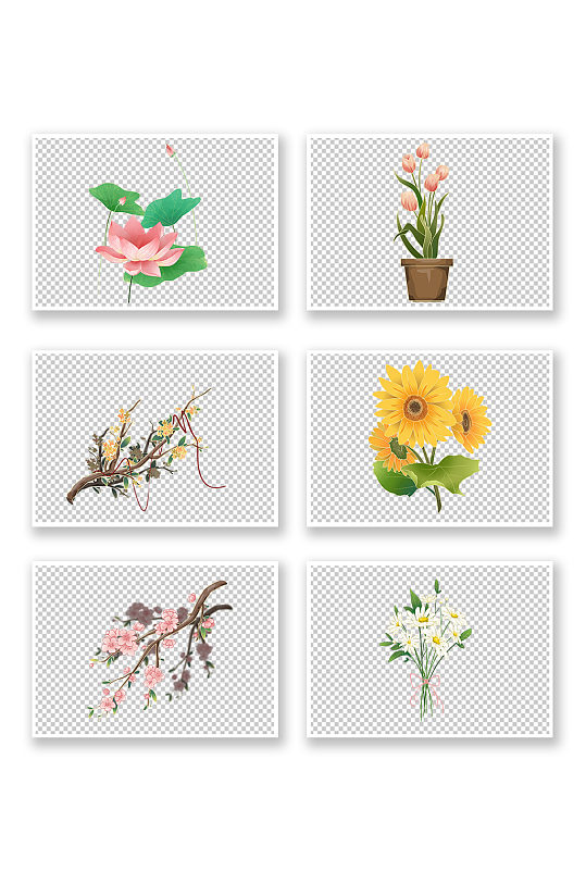 夏日花朵花束夏季花卉物品插画元素