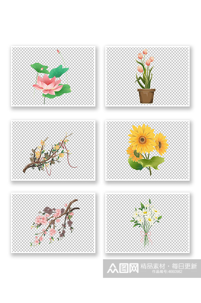 夏日花朵花束夏季花卉物品插画元素素材