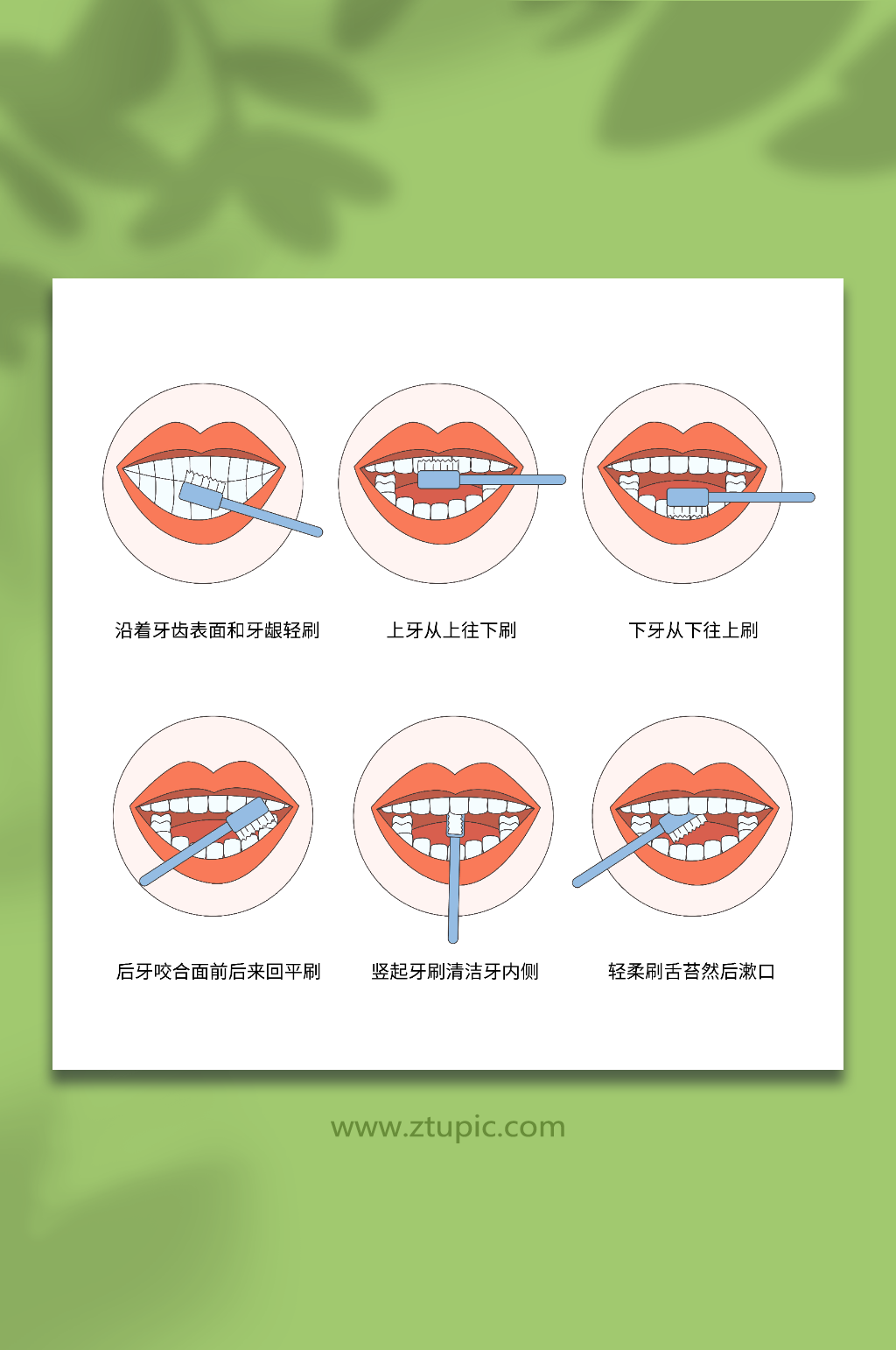 卡通清洁口腔刷牙方式科普插画素材