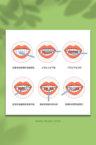 卡通清洁口腔刷牙方式科普插画