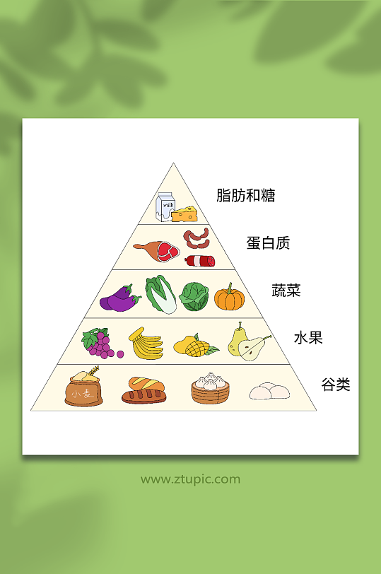 卡通膳食金字塔营养均衡元素插画