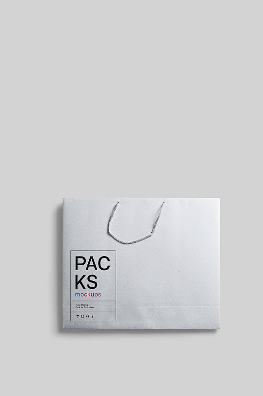 包装袋样机简洁白色