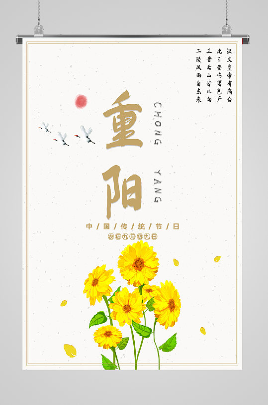 九九重阳节宣传菊花海报