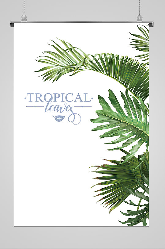 芭蕉叶ai手绘叶子宣传海报