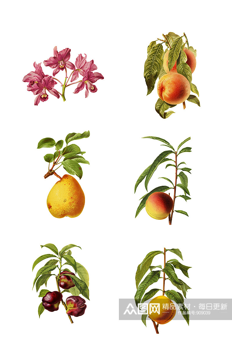植物宣传桃子梨免扣元素素材