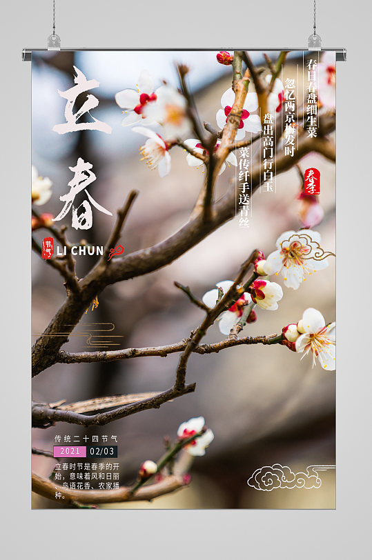 立春节气桃花开宣传海报