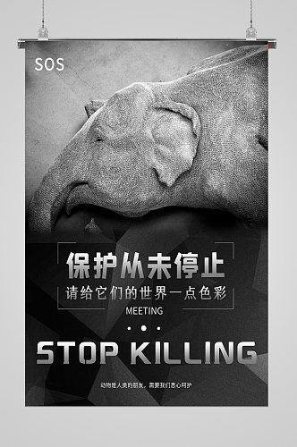 世界动物日保护生态海报