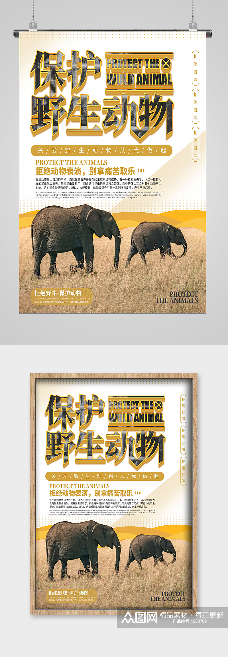 世界动物日大象的家海报素材