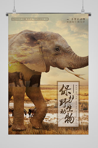 世界动物日大象的生活海报