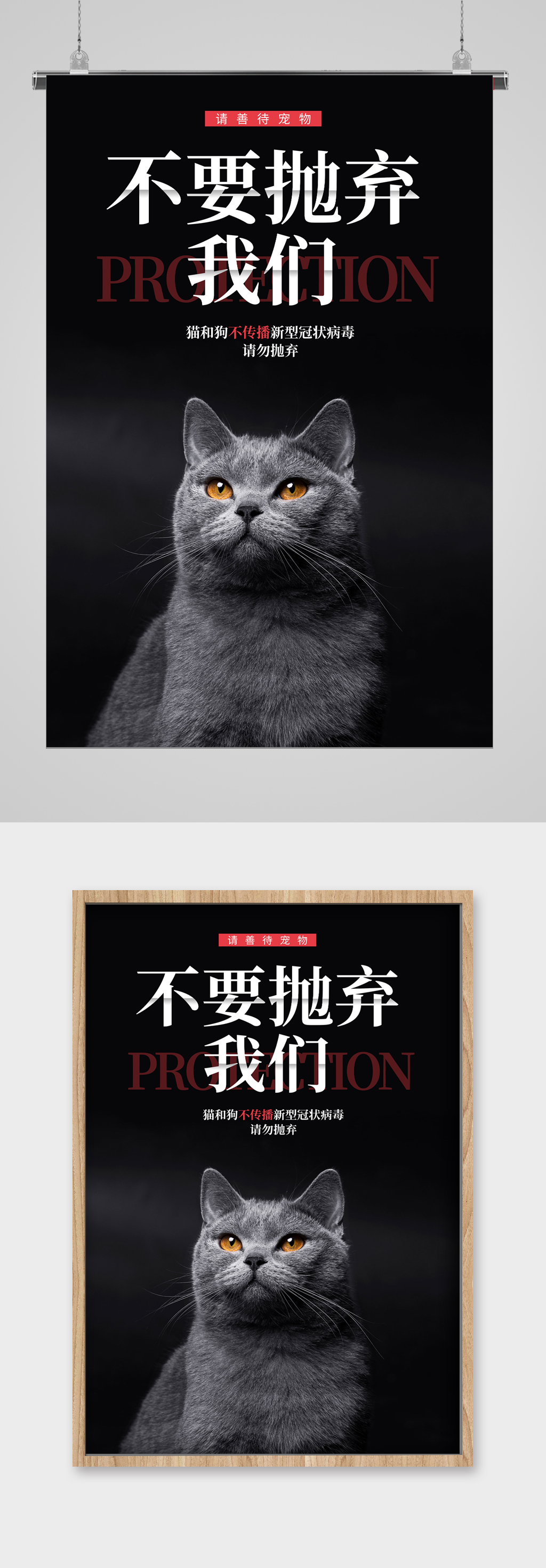 保护猫狗世界动物日宣传海报