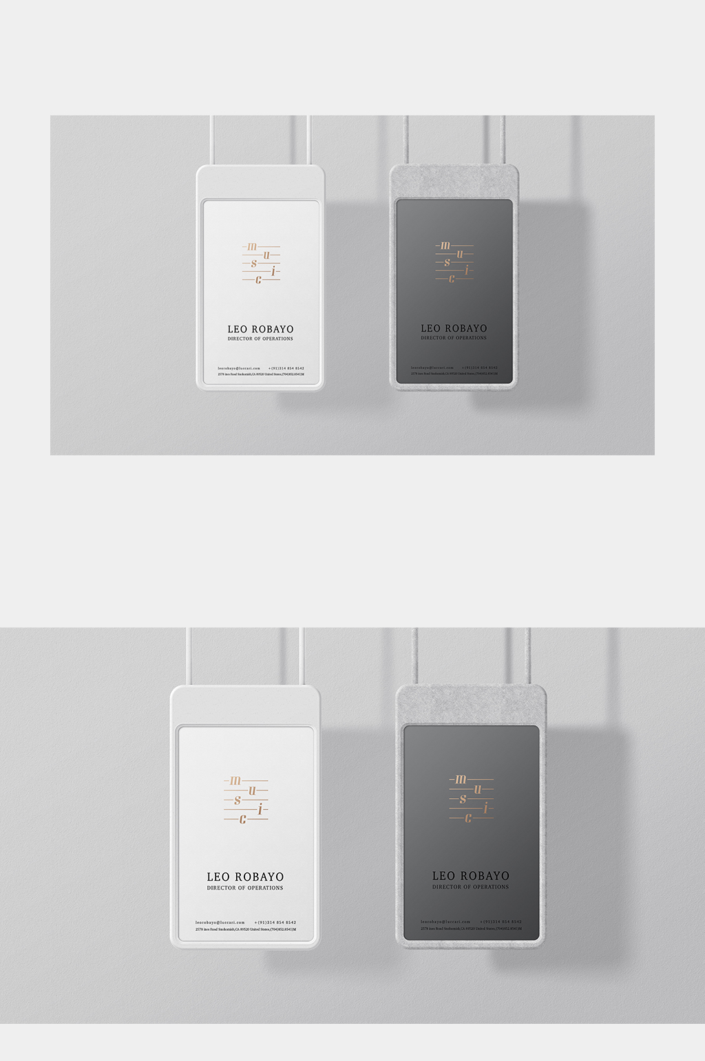 黑白吊牌展示样机素材