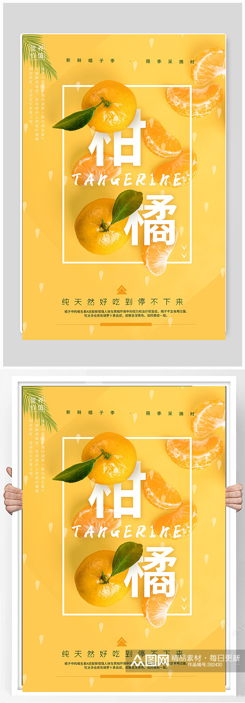 新鲜柑橘宣传海报素材