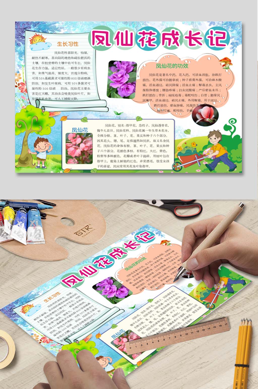 WORD凤仙花小报素材