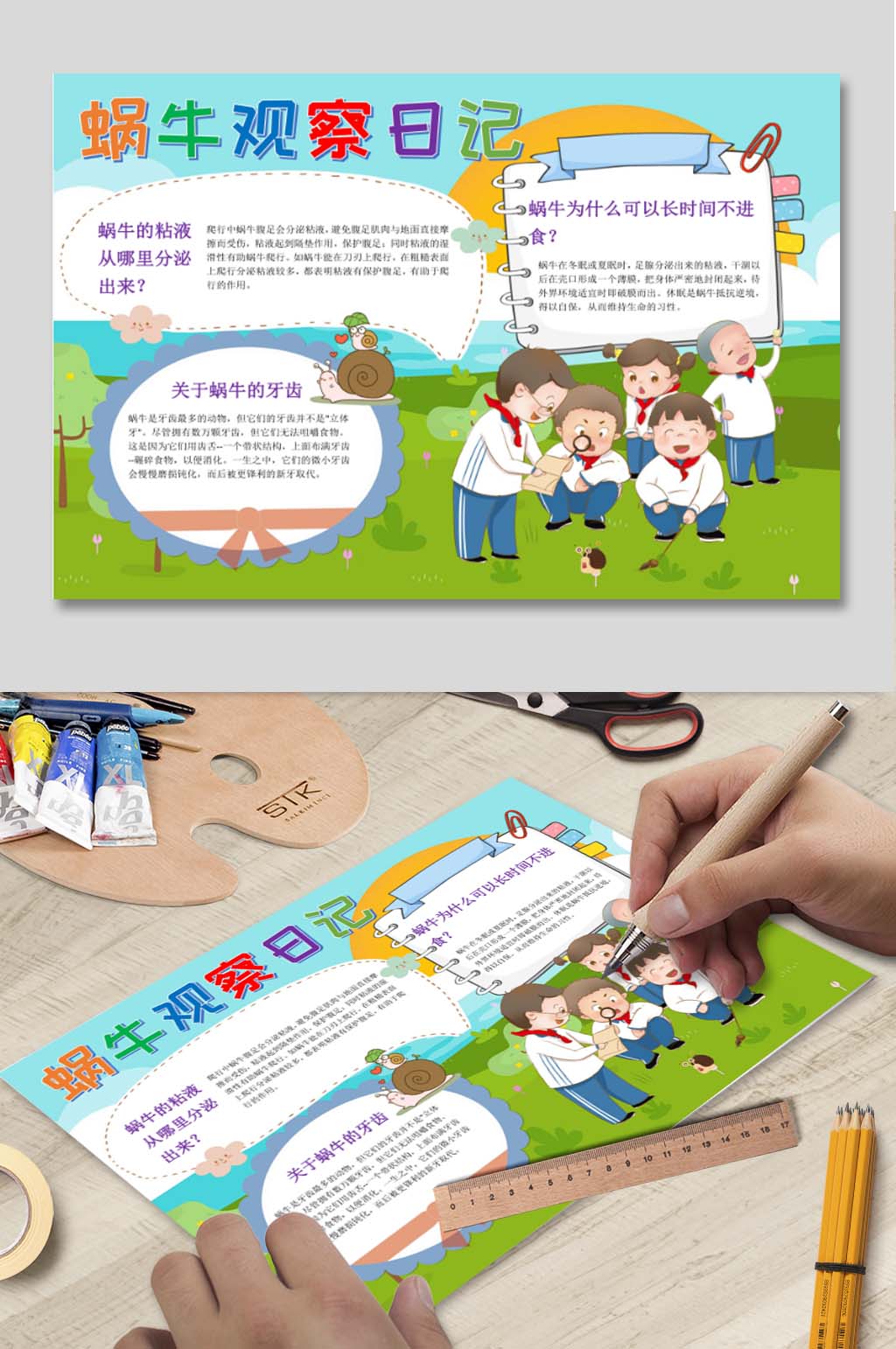 蜗牛观察日记小报素材