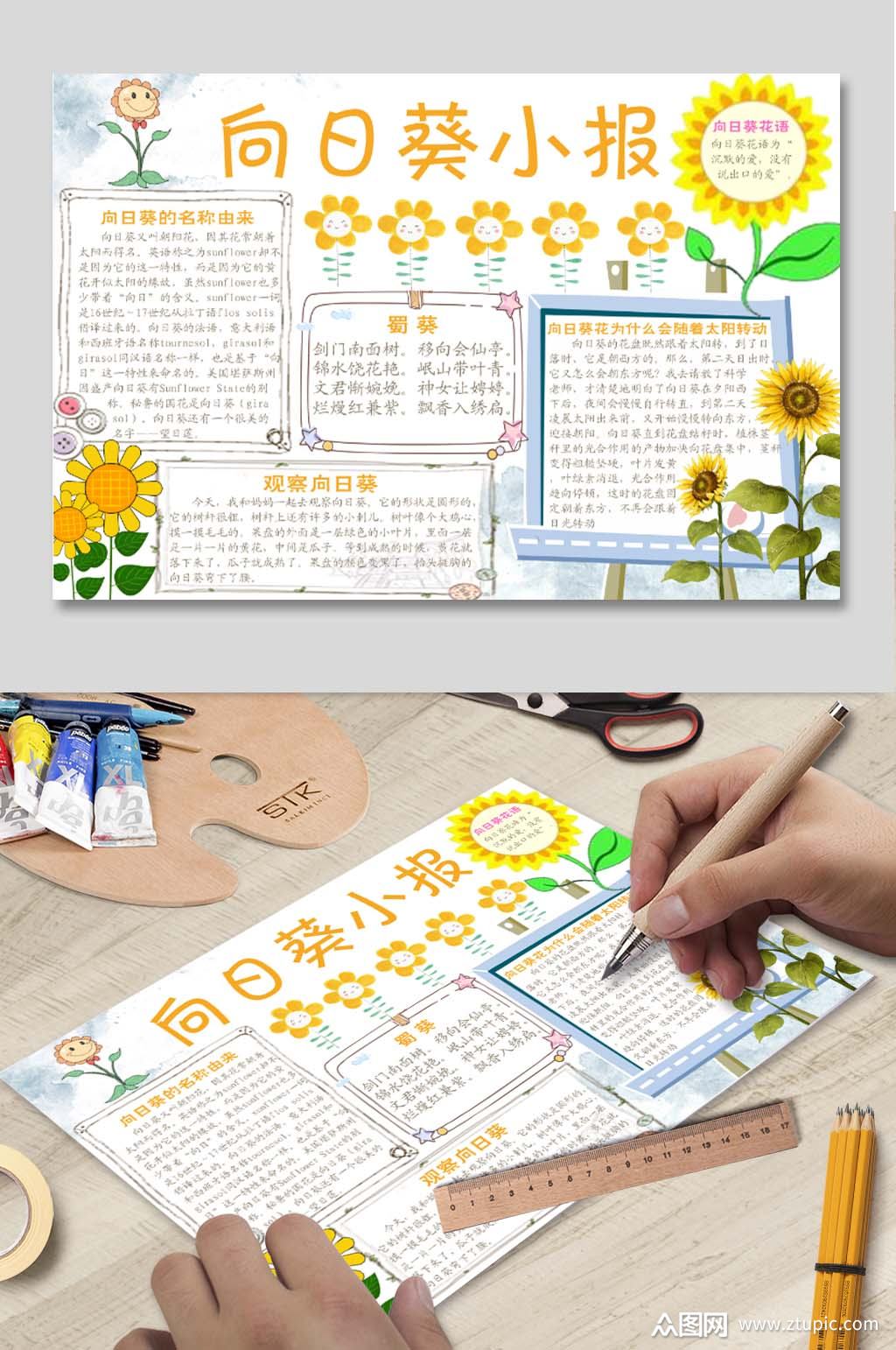 向日葵手抄报模板