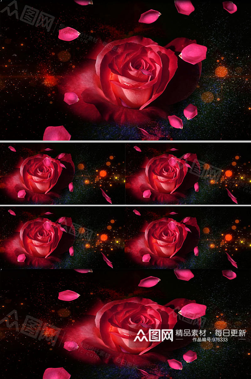 玫瑰花瓣飘落视频下载素材