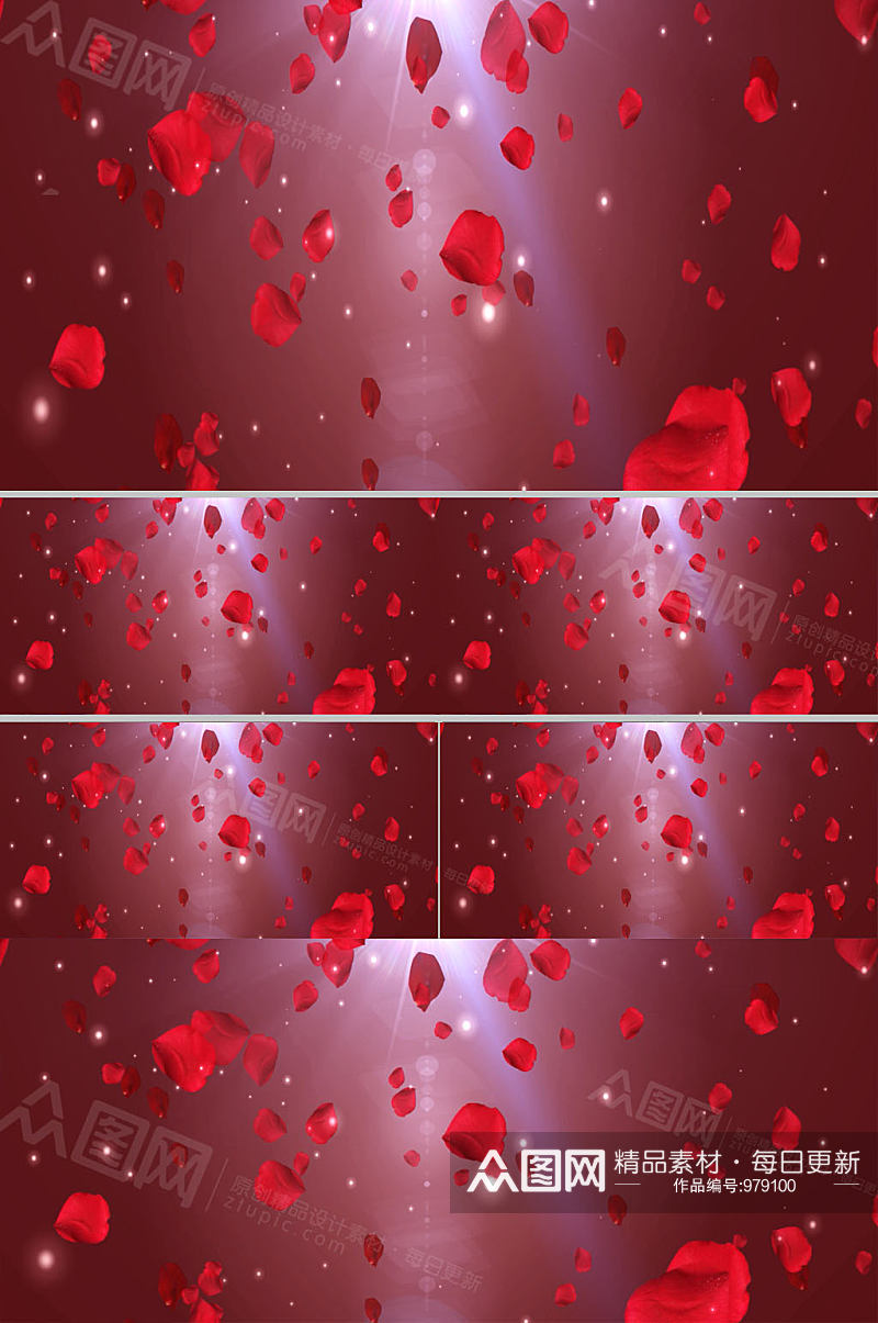 玫瑰花瓣飘落视频设计下载素材