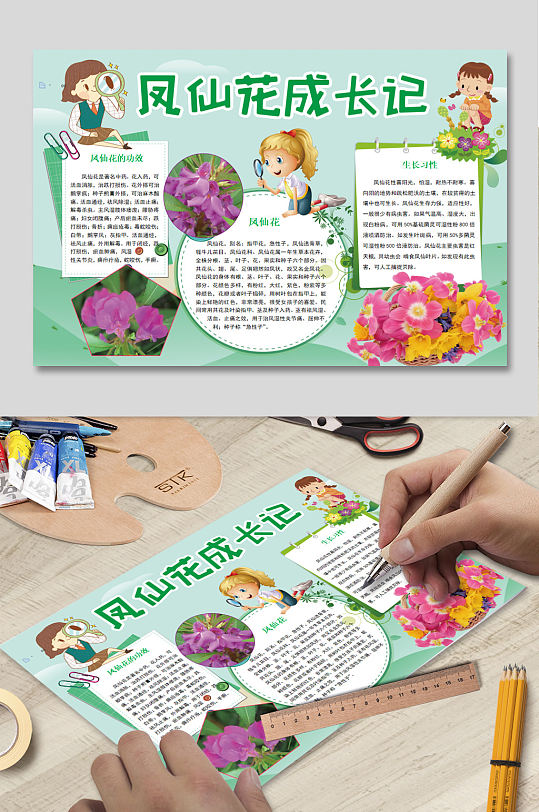 凤仙花成长记小报下载
