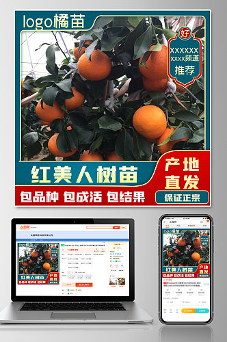 橘子橙子苹果果树水果果苗主图psd模板
