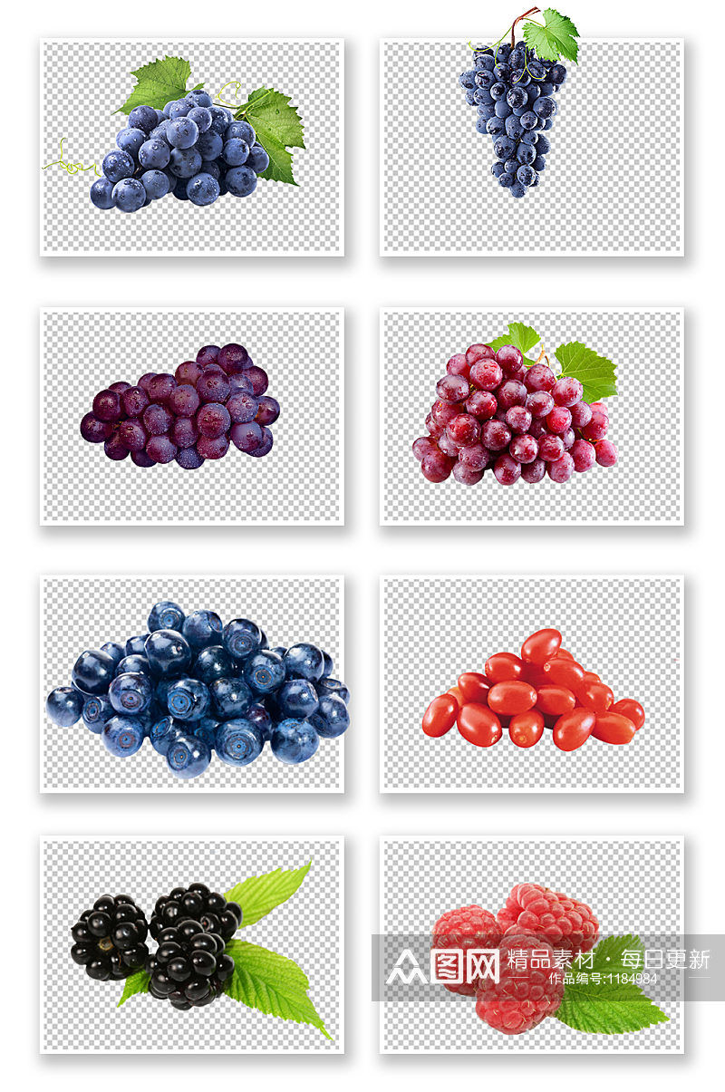 葡萄提子免扣素材蔓越莓素材