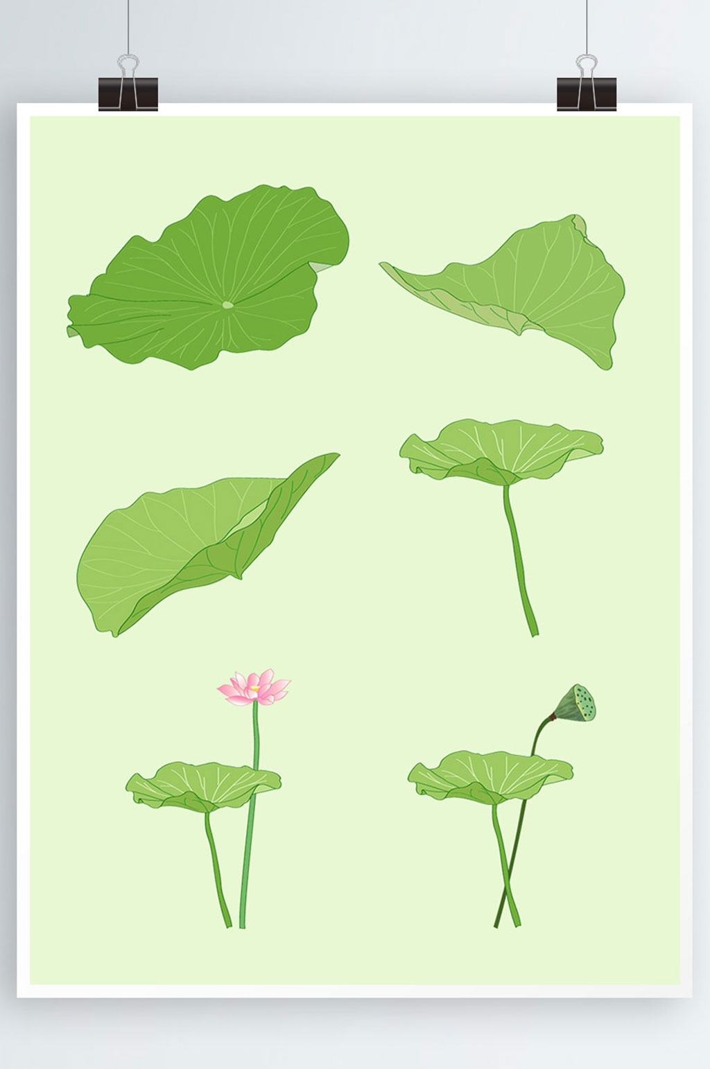 夏天荷叶植物元素素材