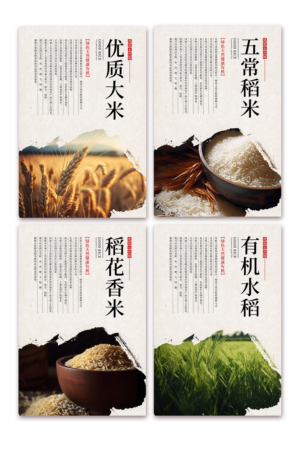 简约水稻大米绿色农产品农业农耕系列海报素材