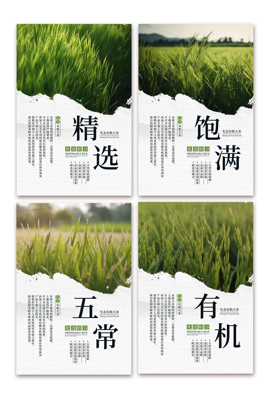 创意水稻大米绿色农产品农业农耕系列海报素材